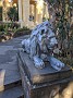 IMG_20201129_064933