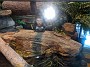 IMG_20191223_115957
