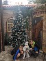 IMG_20201203_054346