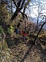 IMG_20201204_061108
