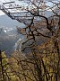 IMG_20201204_064543_1