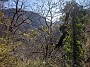 IMG_20201205_051244
