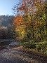 IMG_20201205_061455