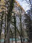 IMG_20201205_065426