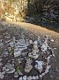 IMG_20201205_071709