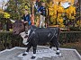 IMG_20201206_051320