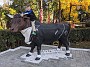 IMG_20201206_051336