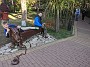 IMG_20201206_051503