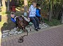 IMG_20201206_051518