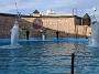 IMG_20201211_070632