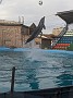 IMG_20201211_072904