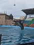 IMG_20201211_072905