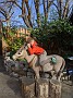 IMG_20201212_035409