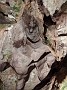IMG_20201213_024323