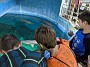 IMG_20200120_114519