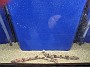 IMG_20200120_115108