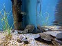 IMG_20200120_124800