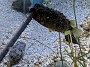 IMG_20200120_124903