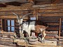 IMG_20200219_124332
