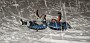 IMG-20200323-WA0015