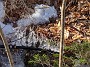 IMG_20200322_155056