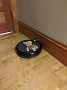 IMG_20200401_104228