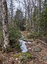 IMG_20200404_120114