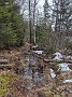 IMG_20200404_120118