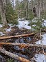 IMG_20200404_120924