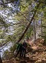 IMG_20200404_124700
