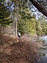 IMG_20200404_125247