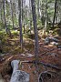 IMG_20200404_132513