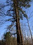 IMG_20200415_181716
