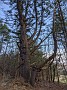 IMG_20200415_182131
