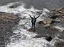 IMG_20200419_164732