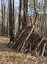 IMG_20200428_175734