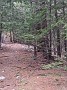 IMG_20200429_175437