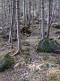 IMG_20200519_175423