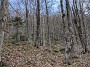 IMG_20200519_182508