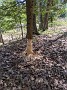 IMG_20200520_131652