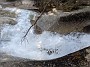 IMG_20200522_180249