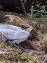 IMG_20200524_133409