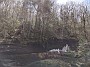 IMG_20200524_135039