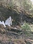 IMG_20200524_135353