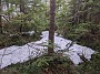 IMG_20200525_154213