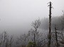 IMG_20200525_155543