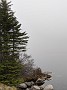 IMG_20200525_155800
