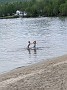 IMG_20200527_183230