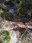 IMG_20200530_153018