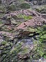 IMG_20200531_155950